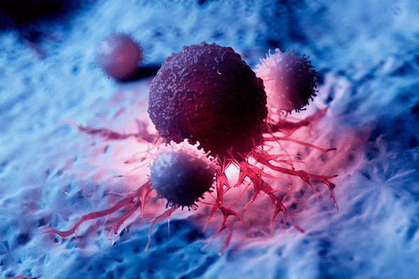 Untitled (600 × 400 px) (1)