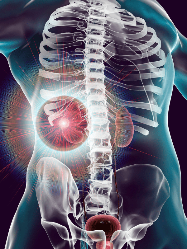 Untitled (600 × 400 px) (600 × 800 px) (3) (1)